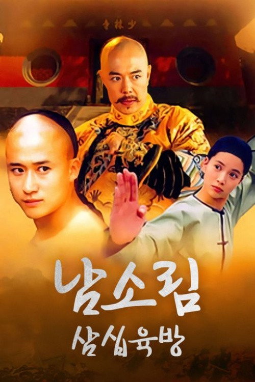 36th Chamber of Southern Shaolin poster 2