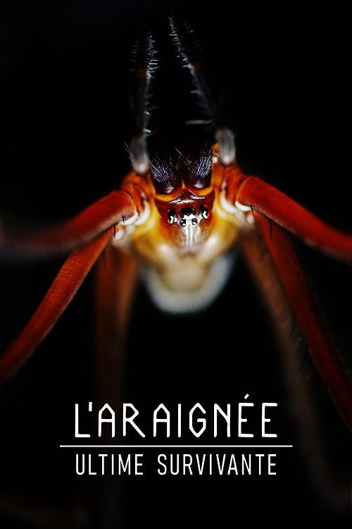 L'Araignée ultime survivante