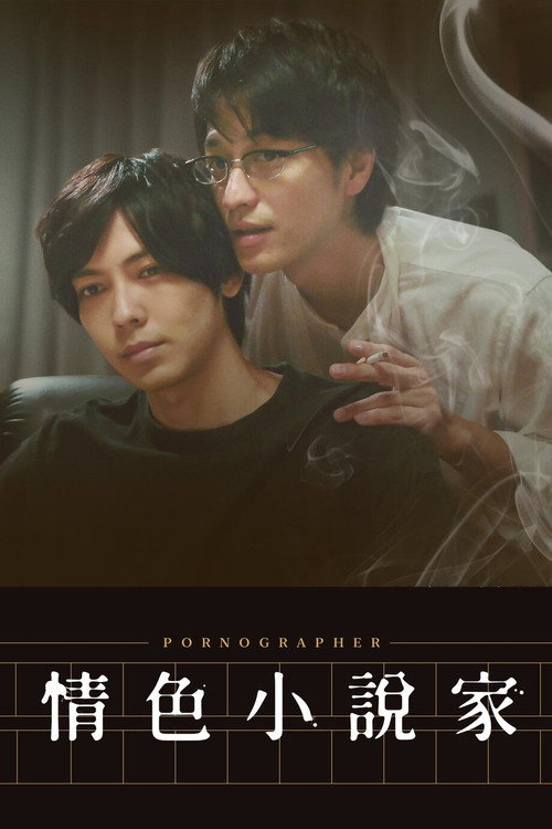 情色小说家电影海报