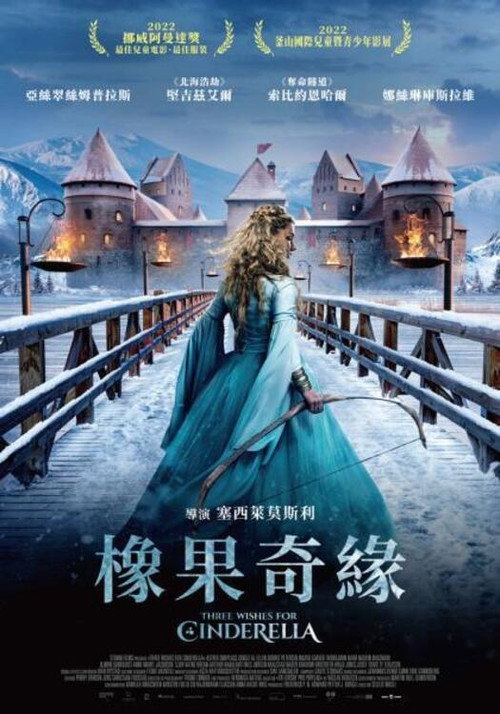 魔幻灰姑娘电影海报