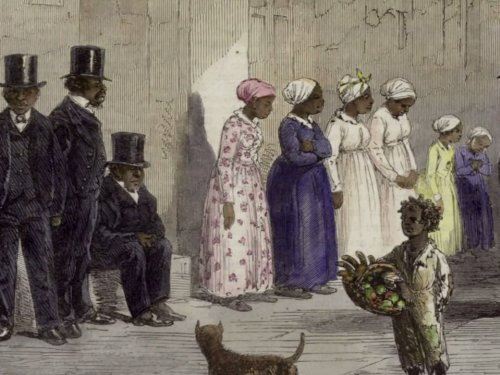 The Age of Slavery (1800-1860)