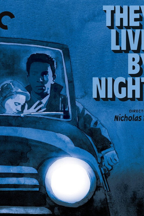 They Live by Night: The Twisted Road poster 2