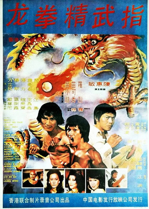 龙门秘指电影海报