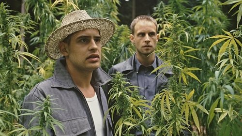 Lammbock (2001) Film Completo Film Complet En Francais