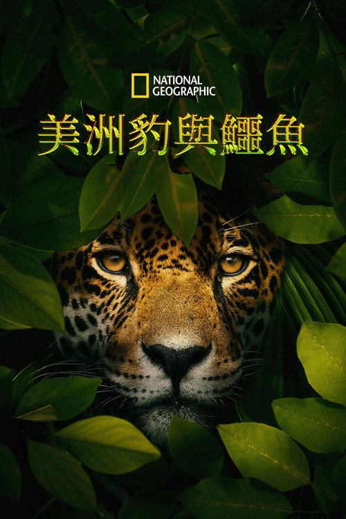 Jaguar vs. Krokodille电影海报