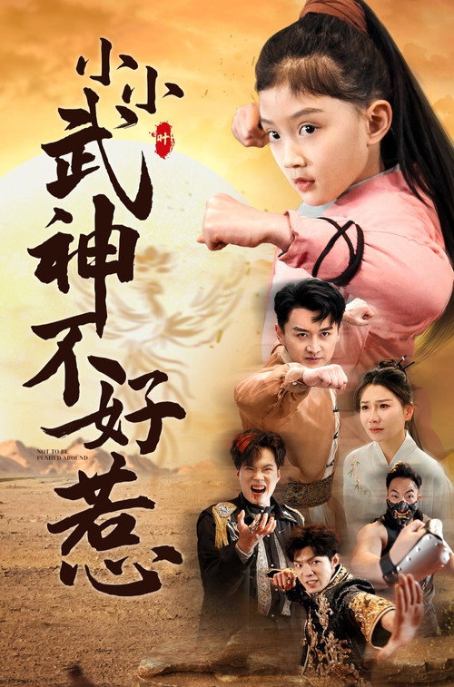 小小武神不好惹电影海报