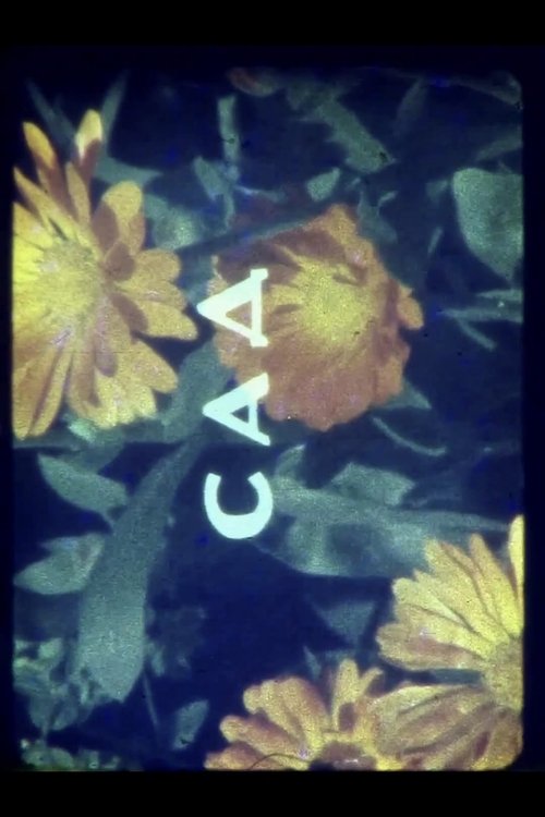 Poster for Colors of Summer