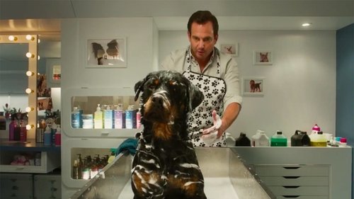 Show Dogs (2018)Bekijk volledige filmstreaming online