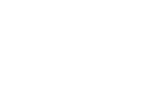 THE KOMINSKY METHOD S03 Logo