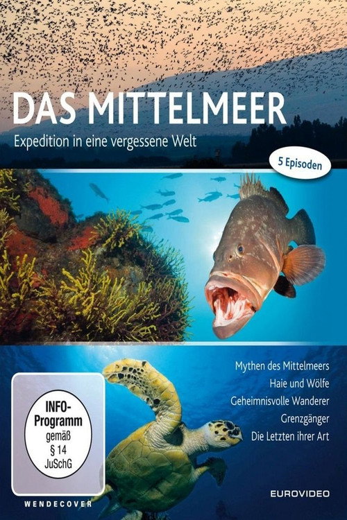 Expedition Mittelmeer电影海报