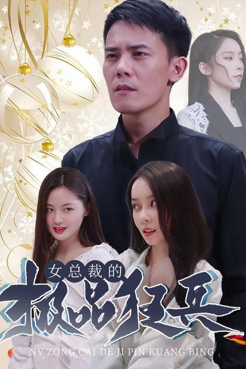 女总裁的极品狂兵海报