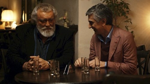 Dos suegros y un destino (2019) Ver Pelicula Completa Streaming Online