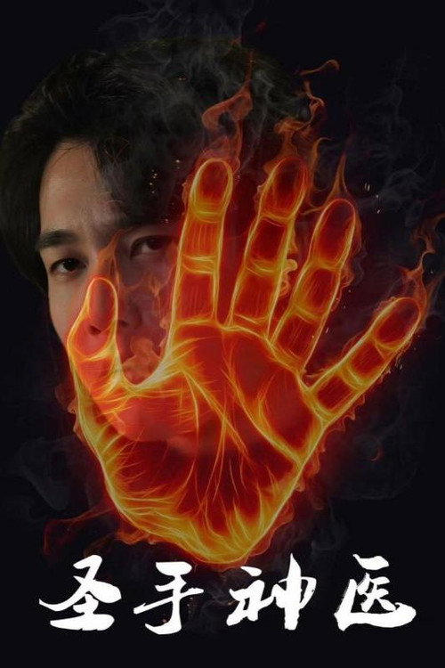 圣手神医电影海报