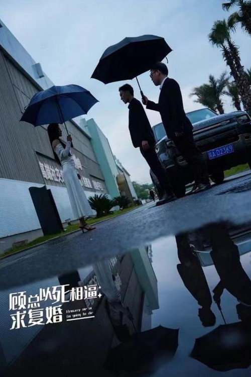 顾总以死相逼求复婚电影海报