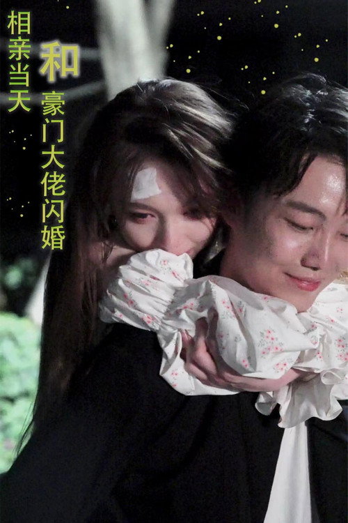 相亲当天和豪门大佬闪婚了电影海报