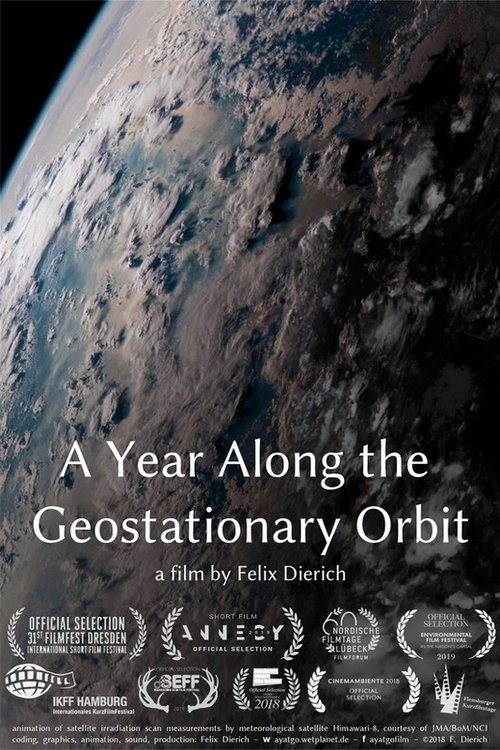 A Year Along the Geostationary Orbit