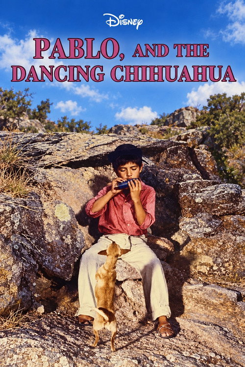 Pablo and the Dancing Chihuahua