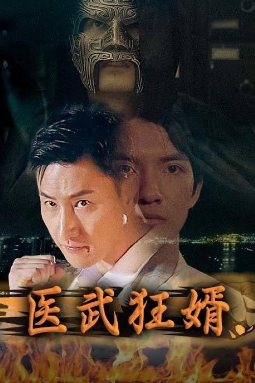 医武狂婿电影海报