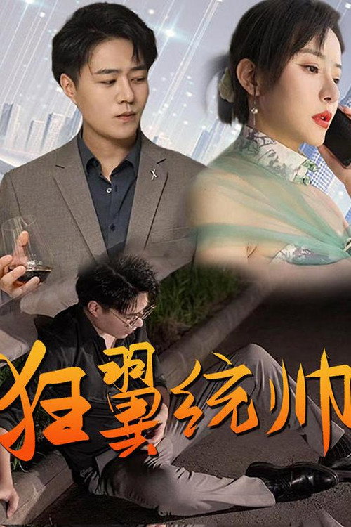 狂翼统帅电影海报