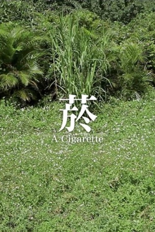 A Cigarette Poster