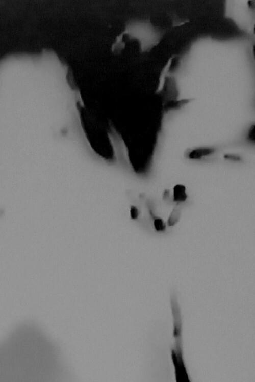 Witches Walk Monochrome Poster