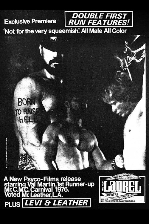 Born to Raise Hell poster 3