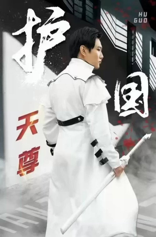 护国天尊电影海报