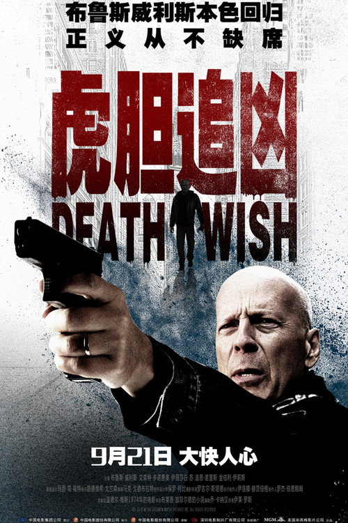 虎胆追凶电影海报