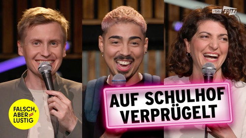 Falsch, aber lustig第3季第8集
