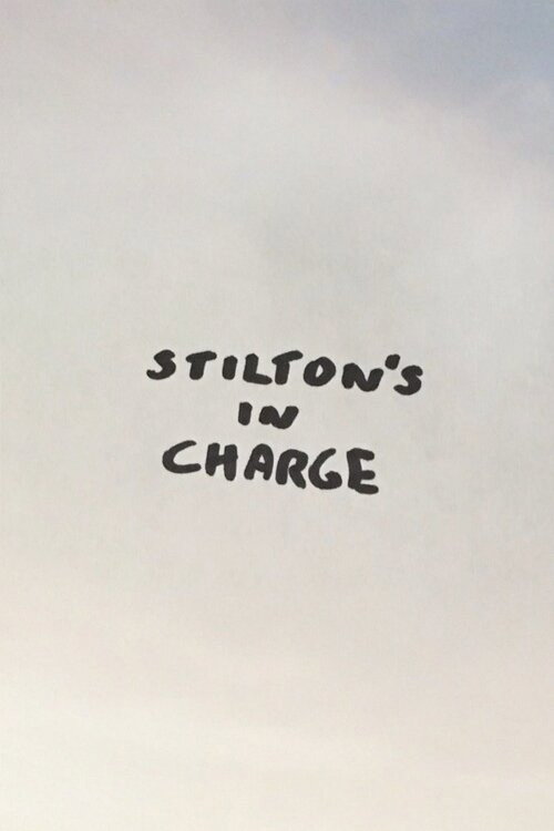 Stilton's in Charge's poster