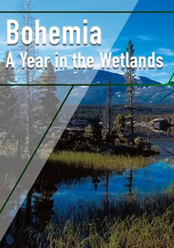 Bohemia: A Year in the Wetlands