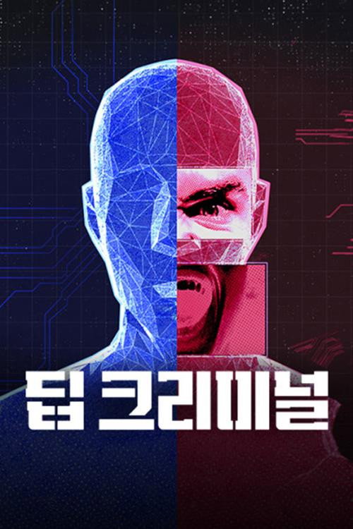 딥 크리미널电影海报