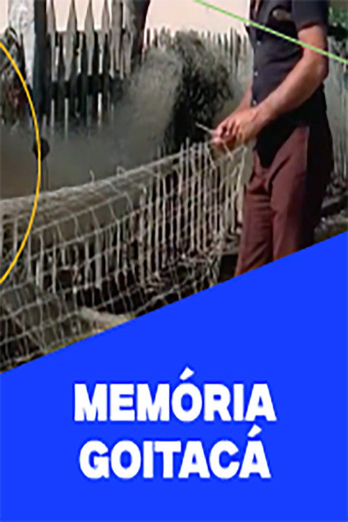 Memória Goitacá's poster