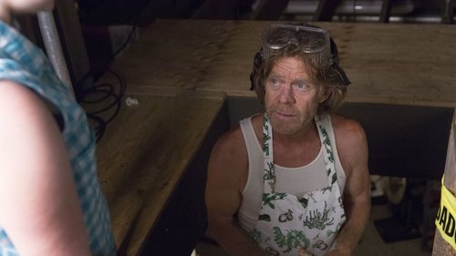 Shameless - Tanrı Sütü