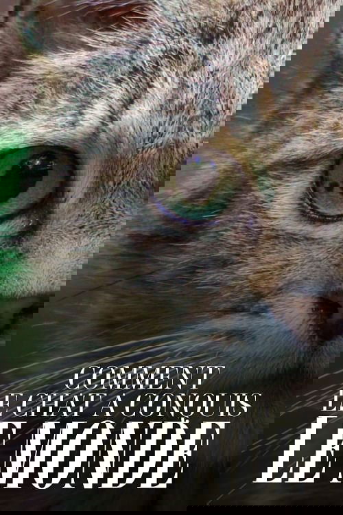 Comment le chat a conquis le monde Poster