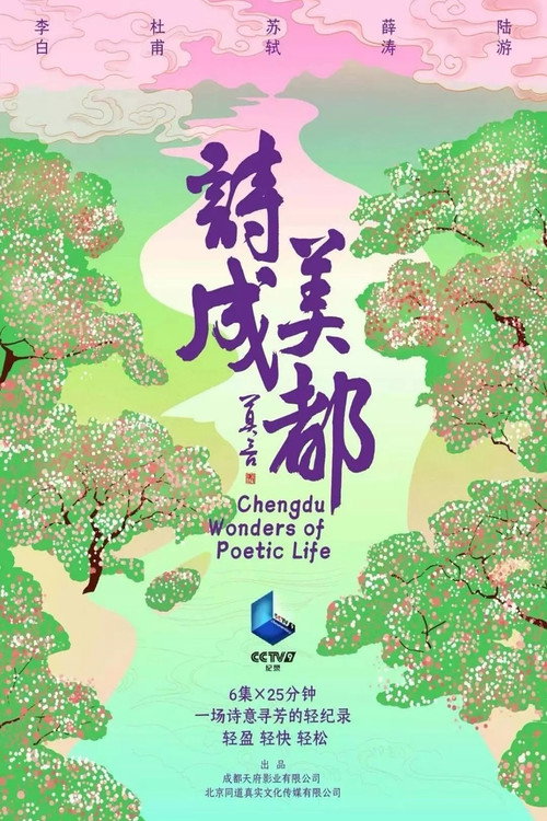 诗美成都电影海报