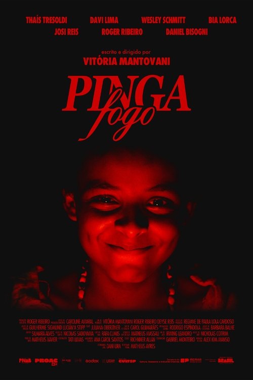 Pinga Fogo poster