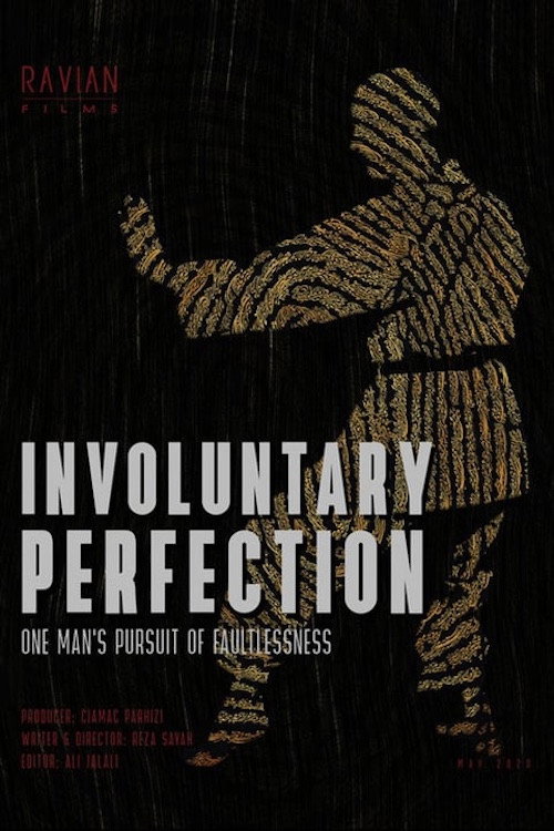 Involuntary Perfection电影海报