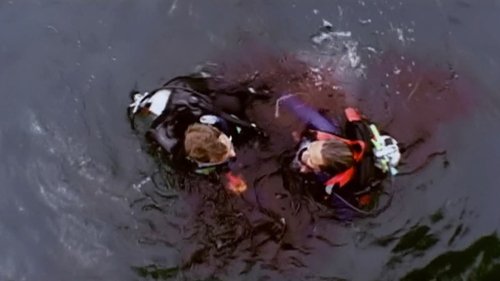 Open Water : En eaux profondes (2003) Film Completo Film Complet En Francais