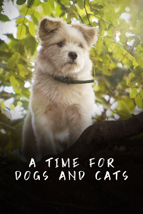 A Time for Dogs and Cats's poster