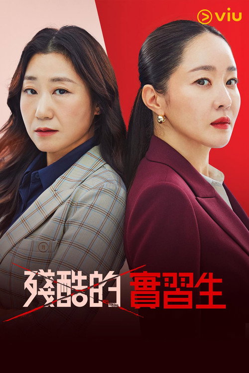 残酷的实习生电影海报