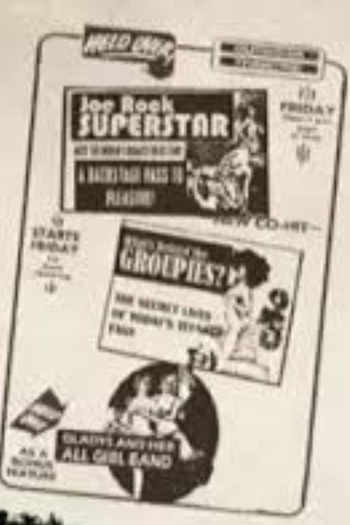 What's Behind the Groupies? poster 3
