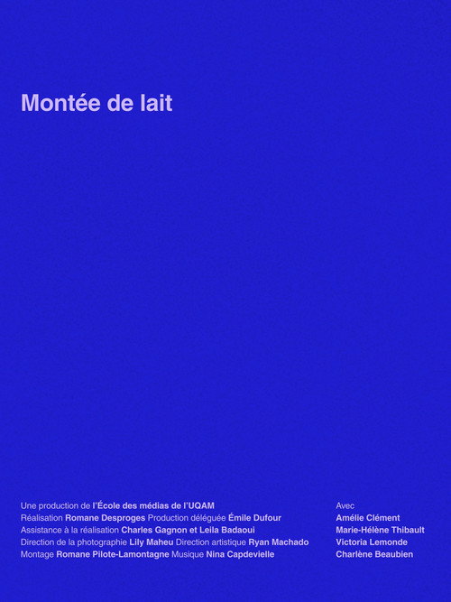 Smother Mother Poster