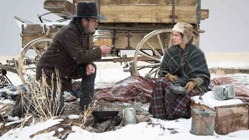 The Homesman (2014)Bekijk volledige filmstreaming online