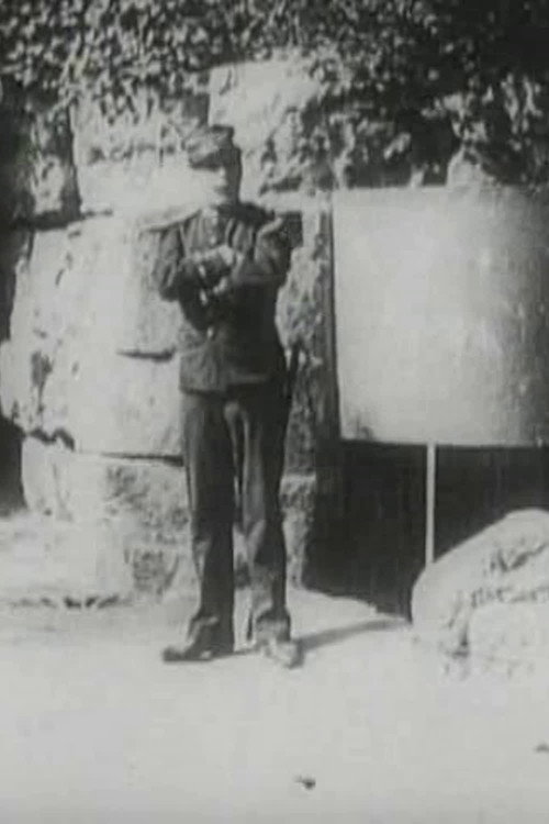 La Hi&eacute;rarchie dans l'amour电影海报