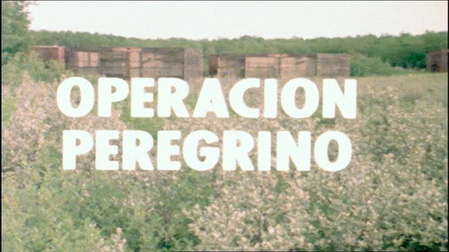 Operation Peregrine