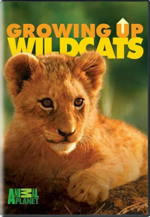 Growing Up. Wildcats.电影海报