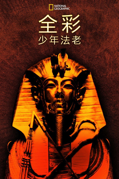 King Tut In Color电影海报