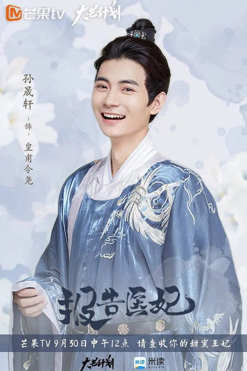 Doctor Princess poster 2