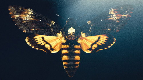 The Silence of the Lambs